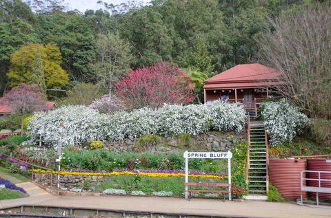 Spring Bluff Railway Station - Hotel Accommodation 1