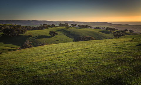 Starfish Hill Windfarm - Hotel Accommodation 1