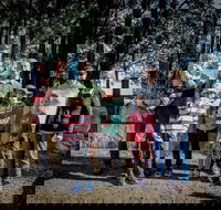 State Forests of the Watagan Mountains - Hotel Accommodation