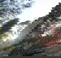 Store Creek Picnic Area - Hotel Accommodation