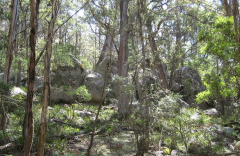 Tallaganda National Park - Hotel Accommodation 0