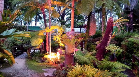 The Fernery At Diamond Waters - Hotel Accommodation 0