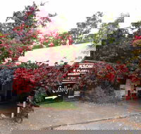 The Gallery Mt Macedon