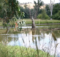 Tumut Wetlands - Hotel Accommodation