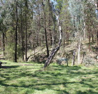 Wallaby Walking Track - Hotel Accommodation