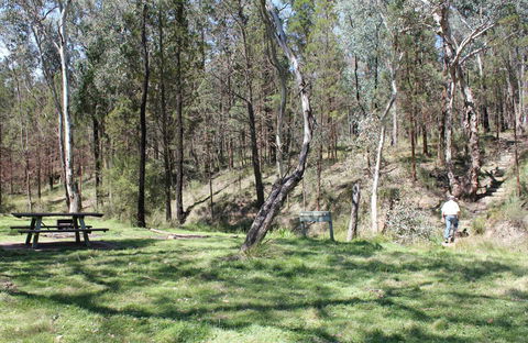 Wallaby Walking Track - Hotel Accommodation 0