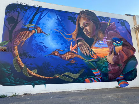 Walk The Walls Cronulla Street Art Trail - Hotel Accommodation 0