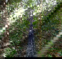 Walker Creek - Hotel Accommodation