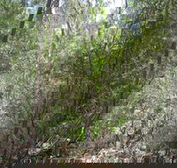 Wangaratta Common Nature Conservation Reserve