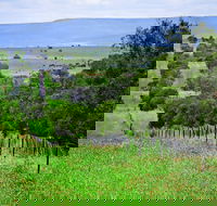 Wild Dog Barrier Fence - Hotel Accommodation