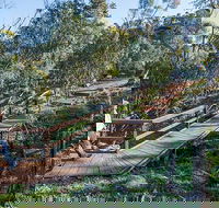 Falcon Falls walking track - Hotel Accommodation