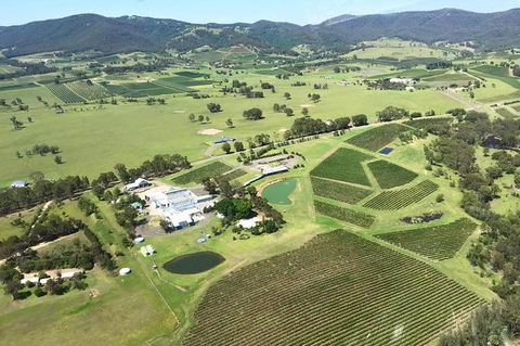 Helicopter Tour Of Hunter Valley In New South Wales With Lunch - Hotel Accommodation 0