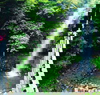 Rainforest  Waterfall Experience - Hotel Accommodation