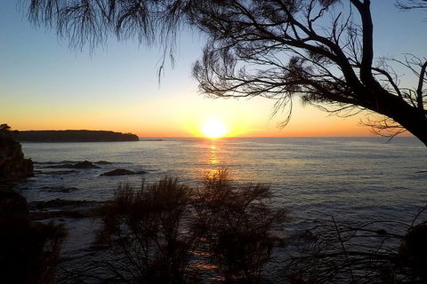 Batemans Bay Overnight Kayak Camping Tour - All Inclusive - Hotel Accommodation 1