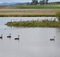 Beardy Waters Dam and Woodlands - Hotel Accommodation