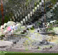 Maroochy Regional Bushland Botanic Garden - Hotel Accommodation
