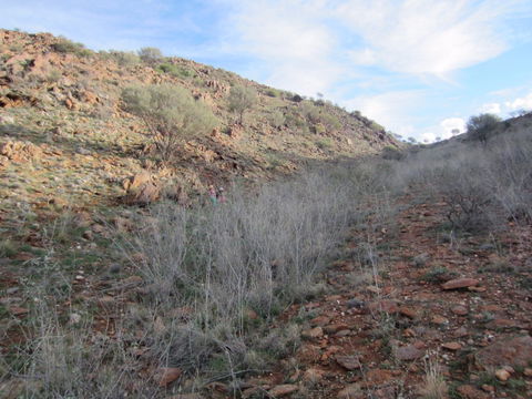 Sundown Nature Trail - Hotel Accommodation 2