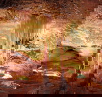 Jenolan Caves Ribbon Cave Tour - Hotel Accommodation