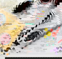 Tulloch Wines- Mystery Wine Tasting Experience with Local Cheese and Charcuterie - Hotel Accommodation