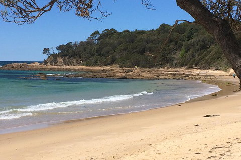 Highlights Of The Eurobodalla (half Day Private Tour) - Hotel Accommodation 5