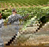 VIP Soil-To-Cellar Experience - Hotel Accommodation