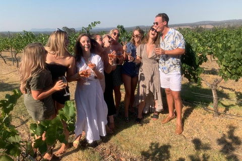 Hunter Valley Exclusive Kangaroo And Wine Tasting Experience - Hotel Accommodation 3