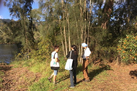 Fishermans Paradise Eco-walk - Hotel Accommodation 1