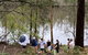 Fishermans Paradise Eco-walk - thumb 2