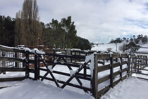 Paddock To Plate Farm Tour And Tasting - Hotel Accommodation 11