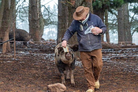 Paddock To Plate Farm Tour And Tasting - Hotel Accommodation 5