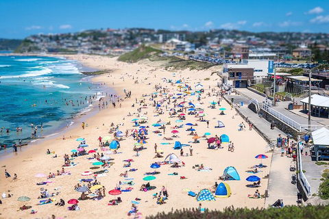 Newcastle Scenic Explorer - 2 Hour Tour By Minibus - Hotel Accommodation 6