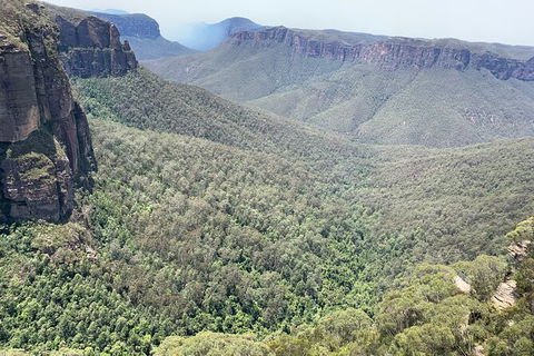 Blue Mountains Private Bus Tour From Sydney, Plus Featherdale Aussie Animal Park - Hotel Accommodation 3