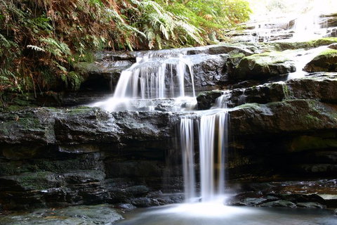 Private 10-hour Tour To Blue Mountains From Sydney - Hotel Pick Up & Drop Off - Hotel Accommodation 6