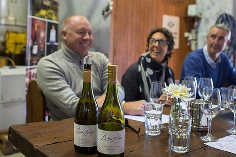 Hunter Valley Highlights Private Wine Tour From Sydney - Hotel Accommodation 1