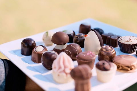 Hunter Valley Highlights Private Wine Tour From Sydney - Hotel Accommodation 7