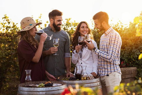 Hunter Valley Highlights Private Wine Tour From Sydney - Hotel Accommodation 0