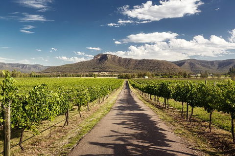 Hunter Valley Highlights Private Wine Tour From Sydney - Hotel Accommodation 2