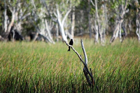 ETHICAL ADVENTURES - Dry Season Litchfield Region, Max 10 Guests - Hotel Accommodation 2