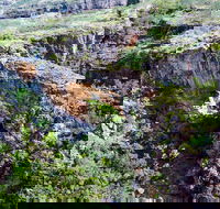 Jabiru 30 minute Scenic Flight - Hotel Accommodation