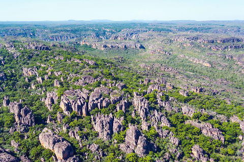 Jabiru 30 Minute Scenic Flight - Hotel Accommodation 1