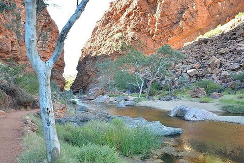 Alice Springs, Uluru Ayers Rock & Kings Canyon 8 Days Touring Package - Hotel Accommodation 2