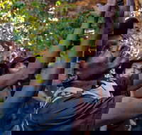 Arnhem Land Injalak Hill Full-Day Tour from Darwin - Hotel Accommodation