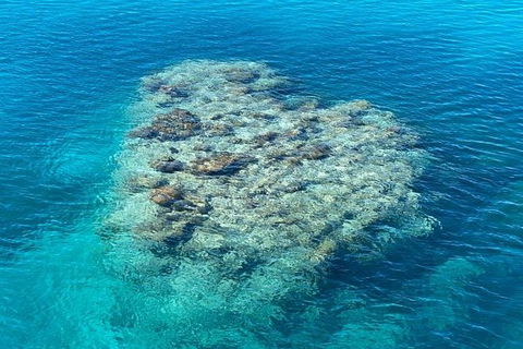 Lady Musgrave Day Trip From Bundaberg Including Snorkeling, Glass Bottom Tour And Guided Island Walk - Hotel Accommodation 2