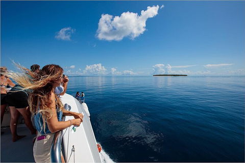 Lady Musgrave Day Trip From Bundaberg Including Snorkeling, Glass Bottom Tour And Guided Island Walk - Hotel Accommodation 4
