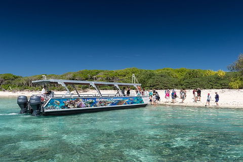 Lady Musgrave Day Trip From Bundaberg Including Snorkeling, Glass Bottom Tour And Guided Island Walk - Hotel Accommodation 5