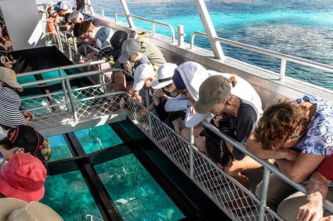 Lady Musgrave Day Trip From Bundaberg Including Snorkeling, Glass Bottom Tour And Guided Island Walk - Hotel Accommodation 3
