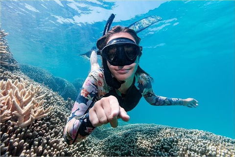 Lady Musgrave Day Trip From Bundaberg Including Snorkeling, Glass Bottom Tour And Guided Island Walk - Hotel Accommodation 1