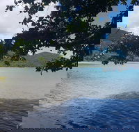 Full Day Tour in the Daintree - Hotel Accommodation