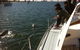 Gold Coast Sailing Cruise With Sparkling Wine & Nibbles Platter - thumb 3