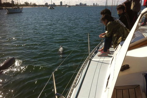 Gold Coast Sailing Cruise With Sparkling Wine & Nibbles Platter - Hotel Accommodation 3